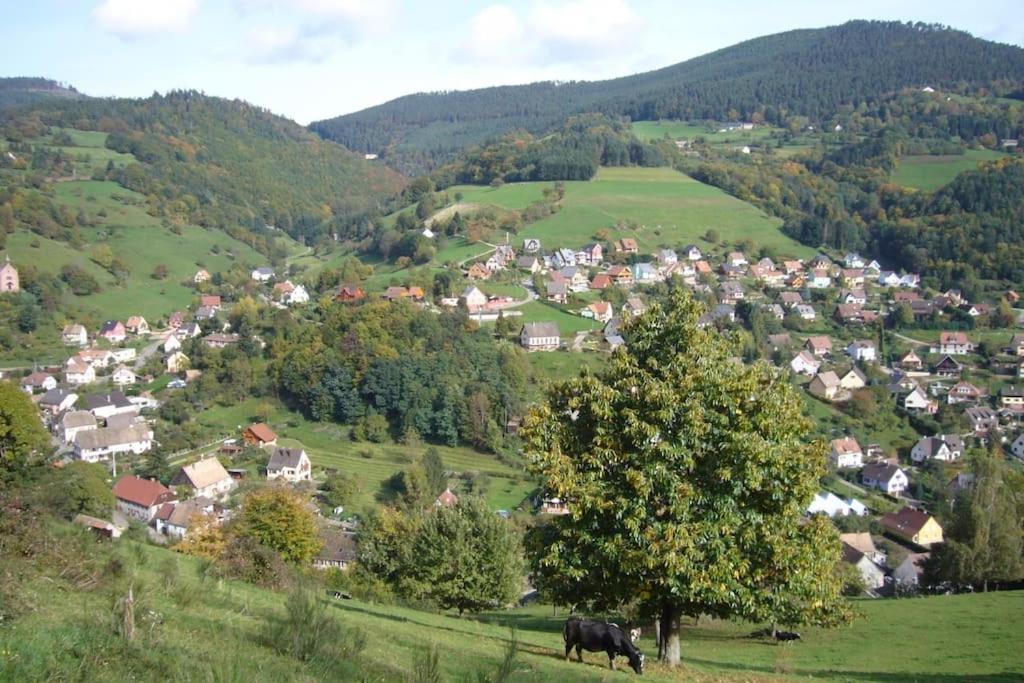 Yourte Des Verts Bois Fréland Dış mekan fotoğraf